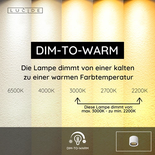 Lucide FEDLER - Deckenstrahler - Ø 12 cm - LED Dim to warm - GU10 (ES111) - 1x12W 2200K/3000K - Weiß - USP